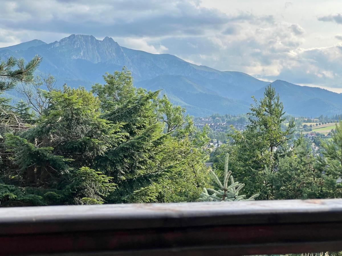 Domek Olczyski Zakopane Kültér fotó