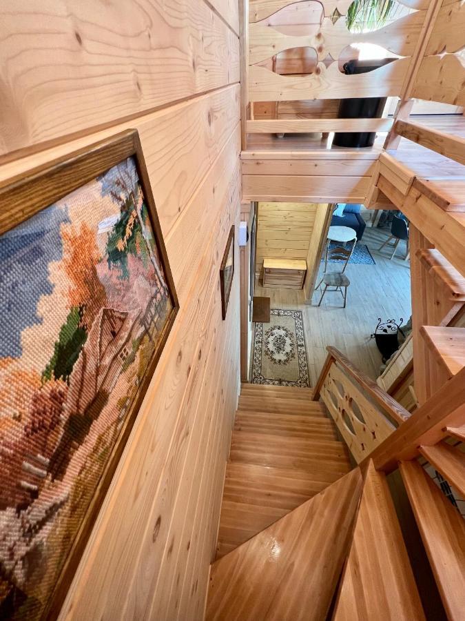 Domek Olczyski Zakopane Kültér fotó