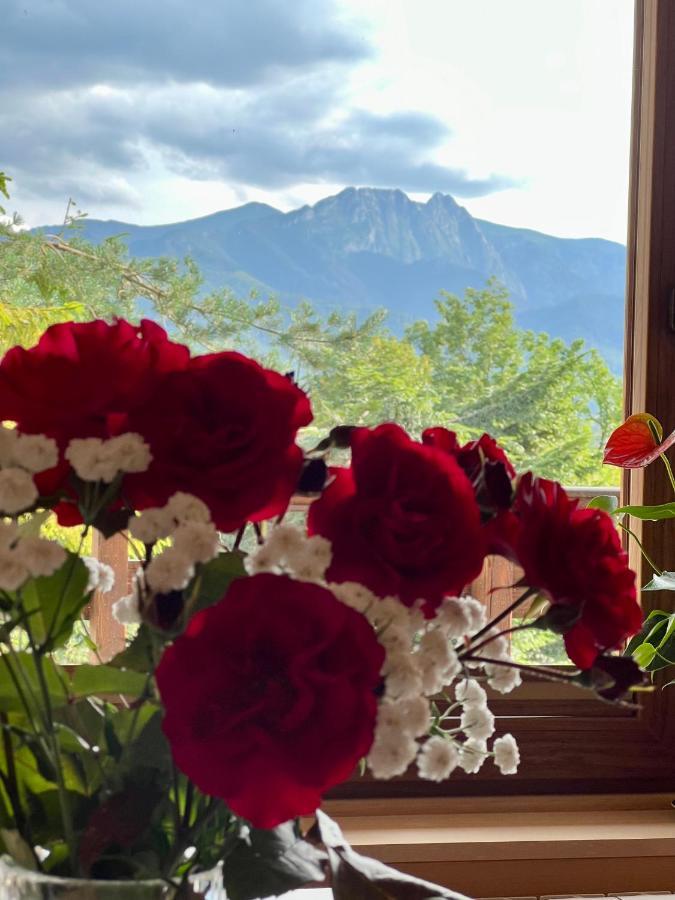 Domek Olczyski Zakopane Kültér fotó